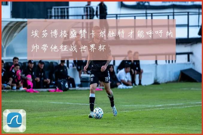 埃芬博格盛赞卡尔独特才能呼吁纳帅带他征战世界杯