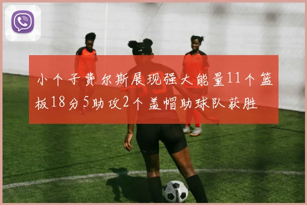 小个子费尔斯展现强大能量11个篮板18分5助攻2个盖帽助球队获胜