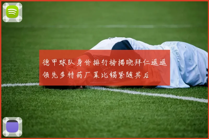 德甲球队身价排行榜揭晓拜仁遥遥领先多特药厂莱比锡紧随其后