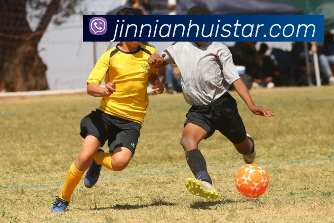 金年会平台生态图